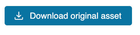 Image of the Download Original Asset button on Widen